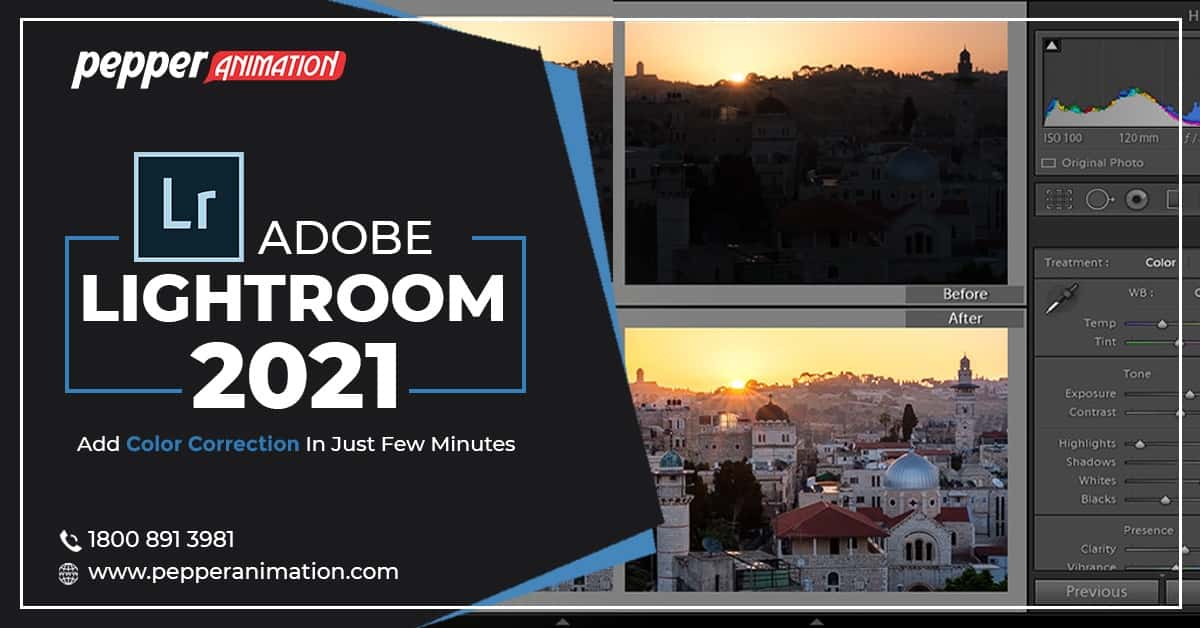 Adobe Lightroom Course in Rohini