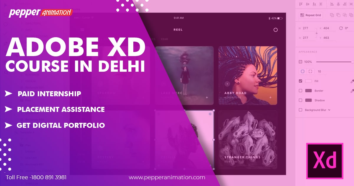 Adobe XD Training Institute